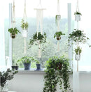 JES&MEDIS 5-Pack Macrame Plant Hangers with 5 Hooks, Different Tiers, Handmade Cotton Rope Hanging Planters Set Flower Pots Holder Stand, for Indoor Outdoor Boho Home Decor by GreenHaven Gardens