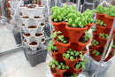 Mr. Stacky Smart Farm - Automatic Self Watering Garden - Grow Fresh Healthy Food Virtually Anywhere Year Round - Soil or Hydroponic Vertical Tower Gardening System (Standard Kit, Terracotta) by GreenHaven Gardens