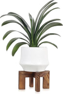 Plant Stand, Indoor/Outdoor Wood Plant Holder, Single Flower Pot Stand, Sturdy Planter Stand (Walnut, Fit 5-9 Inch Pots) by GreenHaven Gardens