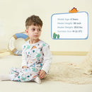 Baby Toddler Sleep Sack with Feet 2.5 TOG Winter, Wearable Blanket with Legs, Toddler Sleeping Sack Long Sleeve (Dinosaur, 12M-2T) by TinyTreasures Baby Boutique