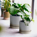 6 + 8 Inch Plant Pots, Ceramic Planter Pot with Drainage Hole & Saucer, Indoor/Outdoor Cylinder Round Planter Pot, Cream & Beige by CozyNest Decor