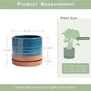 8 Inch Pots for Plants, Ceramic Planter Pot with Drainage Hole & Saucer, Indoor/Outdoor Cylinder Round Planter Pot, Blue & Terracotta by CozyNest Decor