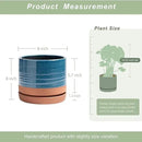 8 Inch Pots for Plants, Ceramic Planter Pot with Drainage Hole & Saucer, Indoor/Outdoor Cylinder Round Planter Pot, Blue & Terracotta by GreenHaven Gardens