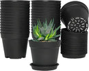 4 inch Small Plant Pots, 28 Pack Plastic Planters with Drainage Holes and Saucers for Flowers Plants, Succulents, Seed Starting Pots, Black by GreenHaven Gardens