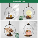 Hanging Planters for Indoor Plants, Black Plant Hanger Indoor with Sturdy Wood Base, Modern Boho Macrame Plant Hanger, Hanging Wall Ceiling Window Home Decor (Plants/Pots Not Included) by GreenHaven Gardens
