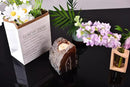 AMOYSTONE Large Raw Agate Altar Stand 2-2.5lb | Ritual Centerpiece Spiritual Meditation Base | Witchcraft Ceremonial Holder | Brazilian Agate | Heavy Duty Natural Stone | Collector's Gift by CozyNest Decor