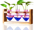 Nacome Plant Terrarium for Office Decor: Birthday Gifts for Plant Lovers Women Mom Wife - Wooden Stand Tabletop Planter 3 Bulb Glass Vase Heart Shaped for Hydroponics Indoor Home(Purple) by CozyNest Decor