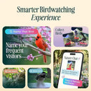 Birdbuddy PRO Solar Smart Bird Feeder with Camera - AI Bird Species Identification, 5MP Photos, 2K HD Video Live Stream Camera, Slow-Motion Video, 2.6in Focus - Blue Solar by CozyNest Decor