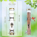MIXXIDEA 2PK Metal Wild Bird Feeder Squirrel Proof Bird Feeders for Outside Hanging 6 Port Tube Bird Feeder Transparent Finch Feeder with Steel Hanger (Bronze) by CozyNest Decor