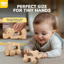 TOY Life Wooden Toys Cars, Montessori Toys for Babies 0-6-12 Months, Babies Bunny Rattle Cars for Toddlers 1-3, Wooden Baby Toys Gift 1 Year Old, Baby Boy Nursery Decor, Elephant & Rabbit Toy Car by TinyTreasures Baby Boutique