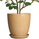 Ceramic Pot for Plants - 10 Inch Plant Pot with Drainage Hole and Saucer Outdoor Planter for Indoor Plants Round Flower Pot for Home Patio Garden Office Yellow by GreenHaven Gardens