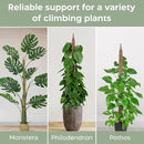 2 Pack 46'' Bendable Moss Pole Monstera Plant Support for Climbing Indoor Plants - Stakes for Potted Climbers - Tall Sticks Indoor Trellis for Houseplants - Accessories for Monstera Pot by GreenHaven Gardens