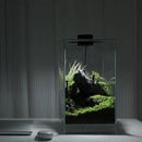 Desktop Glass Plant Terrarium with Grow Light(L7.8 W7.8 H14), for Succulent, Moss, Miniature Gardening Landscape, Betta Fish Tank, Indoor Plant Growth, Office Home Decoration (TimeControlled) by GreenHaven Gardens