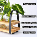 Plant Propagation Stations with Wood Stand, Desktop Plant Terrarium for Propagating Hydroponic, Flower Vase for Home Kitchen Office Decor, Plant Lover Gifts by GreenHaven Gardens