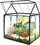 Plant Terrarium Jar, Rifny Indoor House Shape Glass Terrarium Planter with Lid for Venus Fly Trap Succulent Live Air Plants, Small Terrarium Decor for Home Office (Without Plants) by GreenHaven Gardens