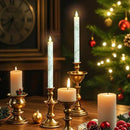 Willow Leaf Flameless Taper Candles with Remote & Timer Real Wax LED Taper Candles Flickering Candlesticks Battery Operated Candle for Home Wedding Party Summer Fall Christmas Decor 2 Pack 9.6" by CozyNest Decor