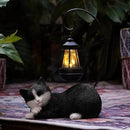 Garden Statue Solar Cat Figurine with Solar Lantern, 13" Tall Cat Statue Resin Kitten Yard Art, Cat Statues Outdoor Statue Decoration for Whimsical Lawn, Porch, Balcony, Housewarming Gifts for Mom by GreenHaven Gardens
