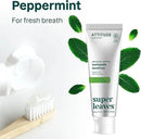 ATTITUDE Fresh Breath Toothpaste with Fluoride, Peppermint Flavor, Vegan & Cruelty-Free, Sugar-Free, Plant & Mineral-Based Ingredients, Clean Oral Care, 4.2 Oz by CozyNest Decor