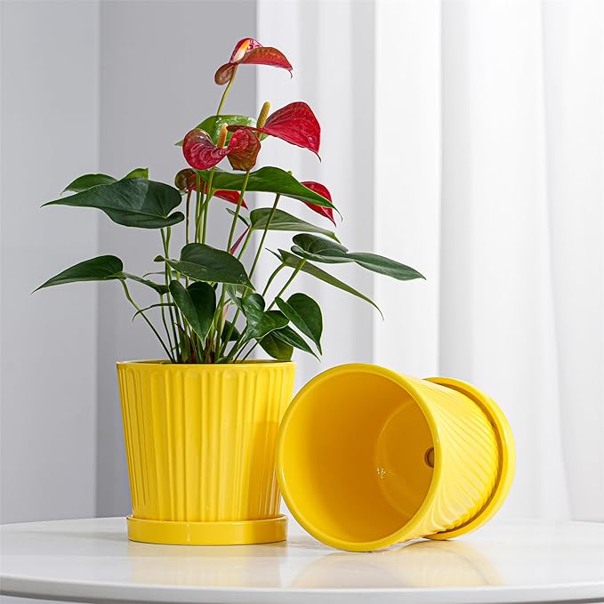 Ton Sin Plant Pots, 6 Inch Flower Pots for Plants,Ceramic Planter with Drainage Holes,Indoor Planter Pots with Saucer,Outdoor Garden Pots (Yellow, 4 Pack), photo 2 of 5