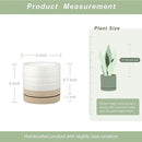 6 Inch Plant Pots, Ceramic Planter Pot with Drainage Hole & Saucer, Indoor/Outdoor Cylinder Round Planter Pot, White & Beige Glaze by GreenHaven Gardens