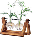 Kingbuy Glass Desktop Planter with Retro Wooden Stand and Plant Terrarium vase (2 Bulbs) for Indoor Office Desk Decor Accessories by GreenHaven Gardens