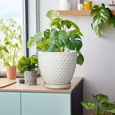 G EPGardening 8 Inch Plant Pot for Indoor Outdoor Plants Round Ceramic Planter Pot with Drainage Hole and Saucer Modern Large Flower Pot White by GreenHaven Gardens