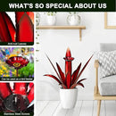 Upgraded Large Metal Yard Art, Metal Agave Plant Yard Decorations Outdoor Sculpture, Metal Flowers for Outside, Waterproof Outdoor Garden Decor (Red + Bird Feeder) by GreenHaven Gardens