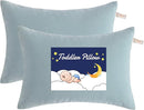 NTBAY Toddler Pillows, Down Alternative 13"x18" Pillows, Machine Washable - Soft and Breathable Travel Small Pillows for Sleeping, Ideal for Daycare, Crib, Cot, Sea Green by TinyTreasures Baby Boutique