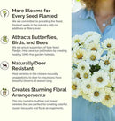 Eden Brothers Cloud 9 Flower Mixed Seeds for Planting, 1/4 lb, 120,000+ Seeds with White Candytuft, Cosmos Purity | Attracts Pollinators, Plant in Spring or Fall, Zones 3, 4, 5, 6, 7, 8, 9, 10 by GreenHaven Gardens