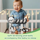 Black and White High Contrast Baby Toys - Sensory Infant Hanging Carseat & Stroller Toy for Newborns 0-6,6-12Months Perfect Easter Birthday & Baby Shower for Babies Boys Girls by TinyTreasures Baby Boutique