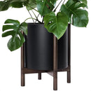 D'vine Dev Planter Pot with Stand - 14 Inch Plastic Cylinder Flower Pot with Wood Planter Holder for Indoor, Matte Black Pot + Walnut Color Stand, 55-C-R-2 by GreenHaven Gardens