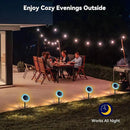 Outdoor Solar Lights, 6 Pack Led Solar Sunflower Lights, Stake/Wall 2-in-1 Waterproof Solar Garden Lights for Yard, Landscape, Fence, Patio, Driveway, Pathway, Backyard Decoration (Warm White) by GreenHaven Gardens