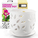 Orchid Pot with Holes & Saucer Ceramic 6.5 in. Indoor or Outdoor Large Pot for Orchid Care & Root Health with Precise Aeration & Drainage – Durable for Repotting or New Plants by GreenHaven Gardens