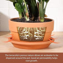 INGOFIN 8 Inch Terracotta Shallow Pots Set with Saucer - Ceramic Clay Pots with Drainage Hole, Terra Cotta Pot for Plants for Indoor Outdoor Plants, Set of 2 by CozyNest Decor