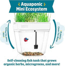 Back to the Roots Indoor Aquaponic Garden - 3 Gallon Self Watering, Mess-Free Planter and Self-Cleaning Fishtank for Herbs, Microgreens, Bamboo, Succulents, and Houseplants, support Fish by GreenHaven Gardens