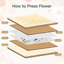 Extra Large Flower Press Kit 10.8 x10.8 inches with Storage Bag, DIY Arts and Craft Kit 10 -Layers, Ideal Gift for Flower & Plant Lovers by TinyTreasures Baby Boutique