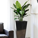 Worth Garden 28" H. Large Metal Glazed Planter Set of 2, Modern Glossy Finish Black Tall Square Tapered Steel Flower Plant Pots for Indoor & Outdoor Use - Insert Plate with Drain Holes, Air Vents by CozyNest Decor