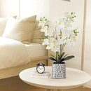Orchid Artificial Flowers with Sliver Vase Large Silk Faux Phalaenopsis Flowers for Dining Room Table Floral Centerpieces Indoor Decoration,White by CozyNest Decor