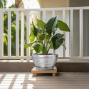 Flower Pot for Indoor Plants - Ceramic Planter 11 Inch Plant Pot with Drainage Hole and Saucer Large Decorative Planter Outdoor Mid-Century Planter for House Decor Silver by GreenHaven Gardens