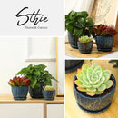 Ceramic Plant Pots with Drainage Holes and Saucers, Round Blue Flower Pots for Indoor Plant, Diameter 3.3/4.3/5.5 Inches Small Mini Flower Planters Set of 3 by CozyNest Decor