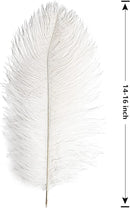 THARAHT 12pcs White Ostrich Feathers Natural Bulk 14-16Inch 35cm-40cm for Wedding Party Centerpieces Easter Gatsby and Home Decorate Ostrich Feathers by CozyNest Decor