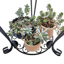 CASIMR 2-Pack Plant Stand, 2 Tier 19.2 inch Tall Metal Potted Holder Rack,Indoor Outdoor Multiple Flower Pot Shelf Rustproof Iron Garden Container for Garden Patio Living Room Corner Balcony, Black by GreenHaven Gardens