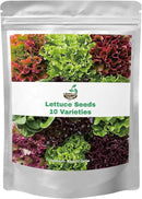 20,000+ Lettuce Seeds, Heirloom Vegetable Seed for Planting Indoor Outdoor, 10 Varieties Fresh Lettuce Salad Seeds Garden Hydroponics Kit - Romaine, Iceberg, Boston, Bibb and More, Non-GMO by GreenHaven Gardens