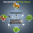 inbloom 12 Pods Hydroponics Growing System Kit, Herb Garden Planter Indoor Kit, Indoor Gardening Hydroponics Growing System with 4.2L Water Pump, Height Adjustable, Gifts for Woman, Transparent Black by GreenHaven Gardens