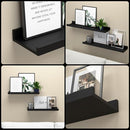 Floating Shelves Wall Mounted Set of 2, Modern Black Wall Shelves for Storage with Lip, Display Picture Ledge Shelf for Wall Decor Bedroom Living Room Bathroom Kitchen by TinyTreasures Baby Boutique