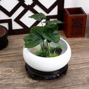 Ceramic Chinese Pot with Base White Water Lily Bowl 6Inch Porcelain Lotus Pot Jardiniere Planter Oriental Fish Bowl Bonsai Vase by GreenHaven Gardens