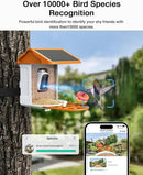 Smart AI Bird Feeder with Camera: Solar-Powered, 2K Live Video, Bird‘s Species Identification, Arrival Alerts, and Motion Capture –Wireless Bird Camera for Watching Birds (Orange) by CozyNest Decor