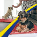 Muddy Mat® 4-Piece Red Medium 30"X19" AS-SEEN-ON-TV Highly Absorbent Microfiber Door Mat, Bath Mat and Pet Rug, Non Slip Thick Washable, Soft Chenille for Kitchen Bathroom Bedroom Indoor and Outdoor by CozyNest Decor