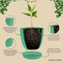 Planter Pots with Drainage Holes - Lightweight, Durable, & Space-Saving Pots for Indoor and Outdoor - Versatile Functionality, Simple Modern Design, Set of 10 Plastic Planter Pots Mint by GreenHaven Gardens