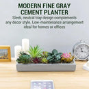MyGift 15 Inch Mixed Color Assorted Artificial Succulent Plant Arrangement in Modern Gray Clay Planter Tray by CozyNest Decor